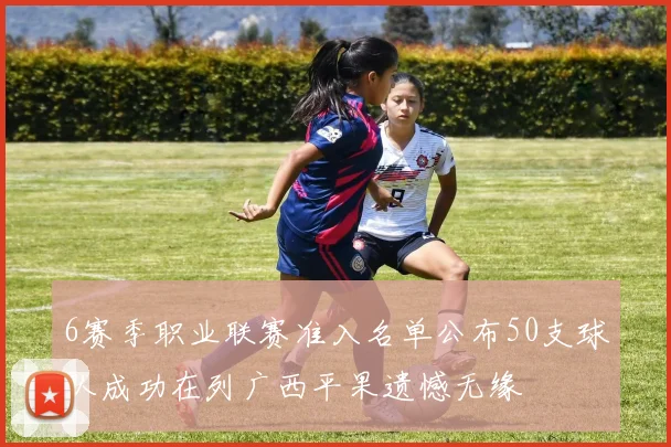 6赛季职业联赛准入名单公布50支球队成功在列广西平果遗憾无缘
