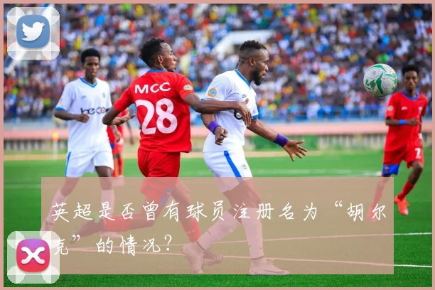 英超是否曾有球员注册名为“胡尔克”的情况?
